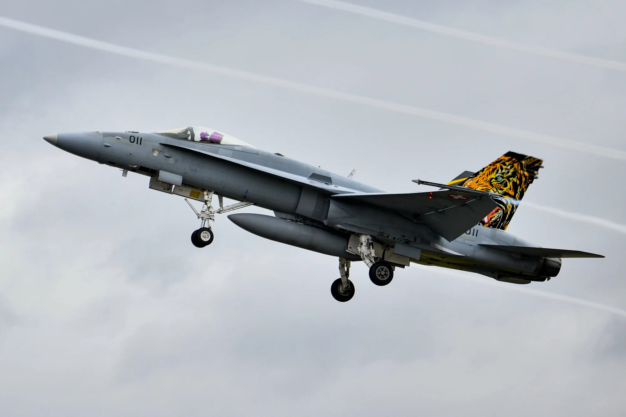 瑞士空军F/A-18C战斗机