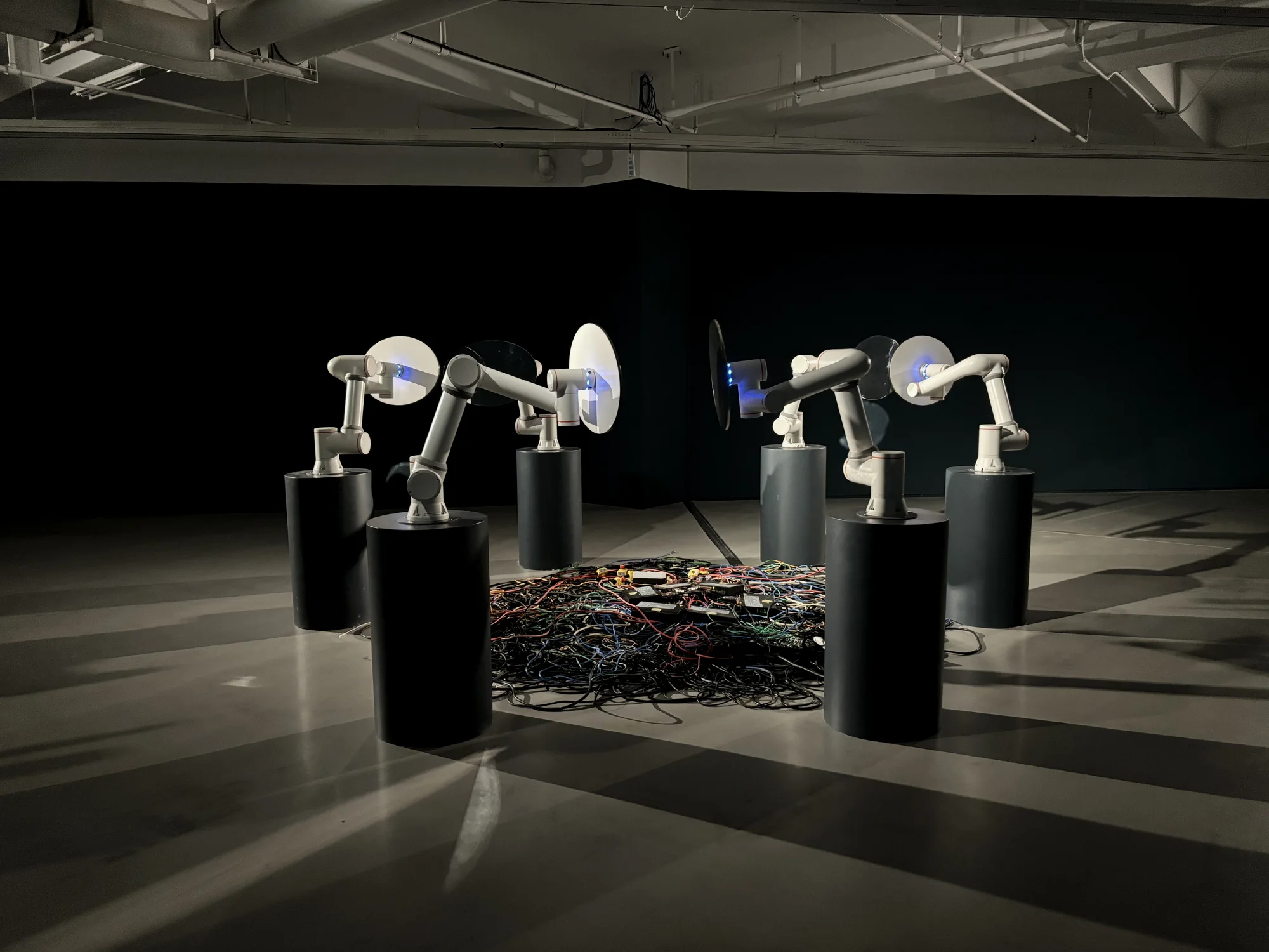 “镜界”，Scientist：LIU Zhong Artist：SHEN Shaomin 2023