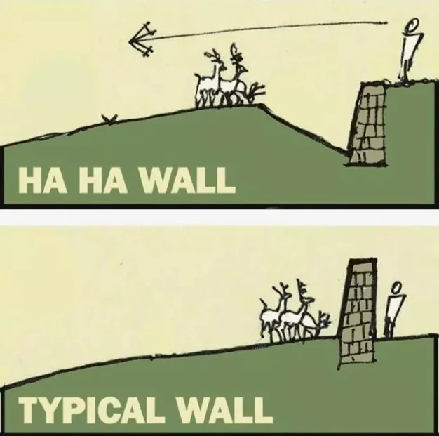 哈哈