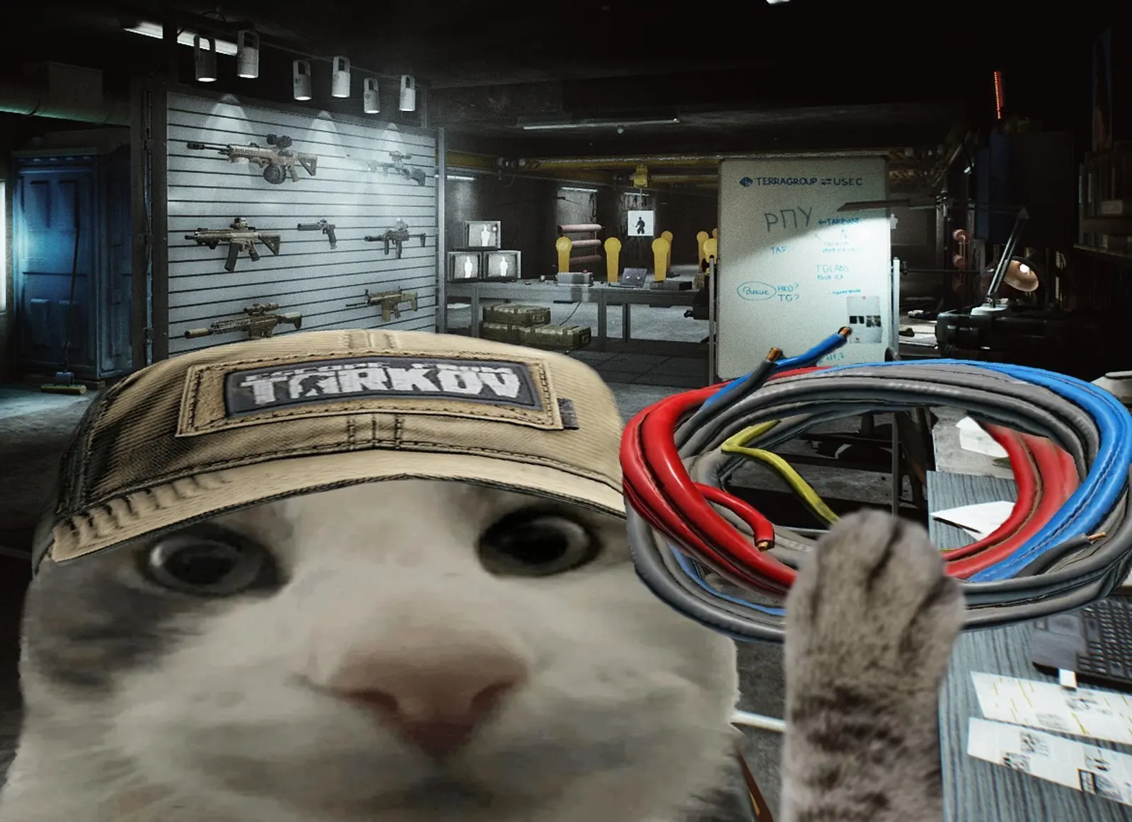 塔科夫拿下老鼠台游戏直播榜第一名，塔基米送来免费物资兑换码