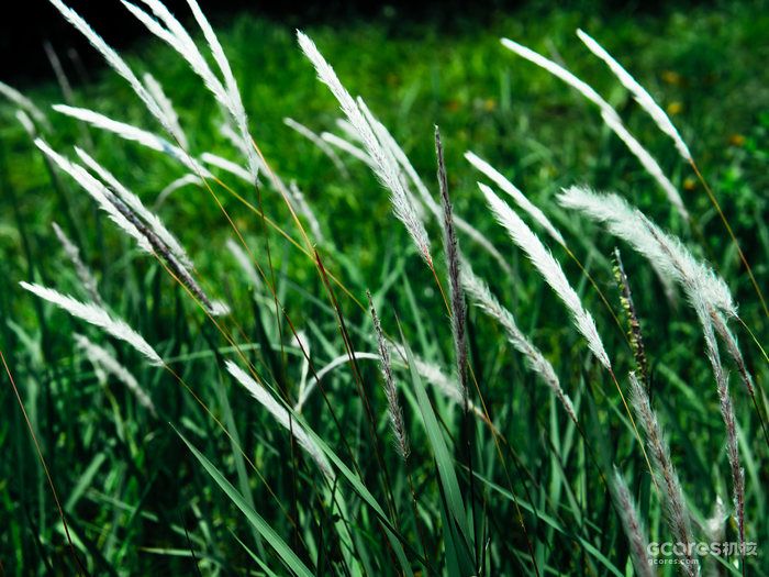 摄影分享 |  摄影分享 |