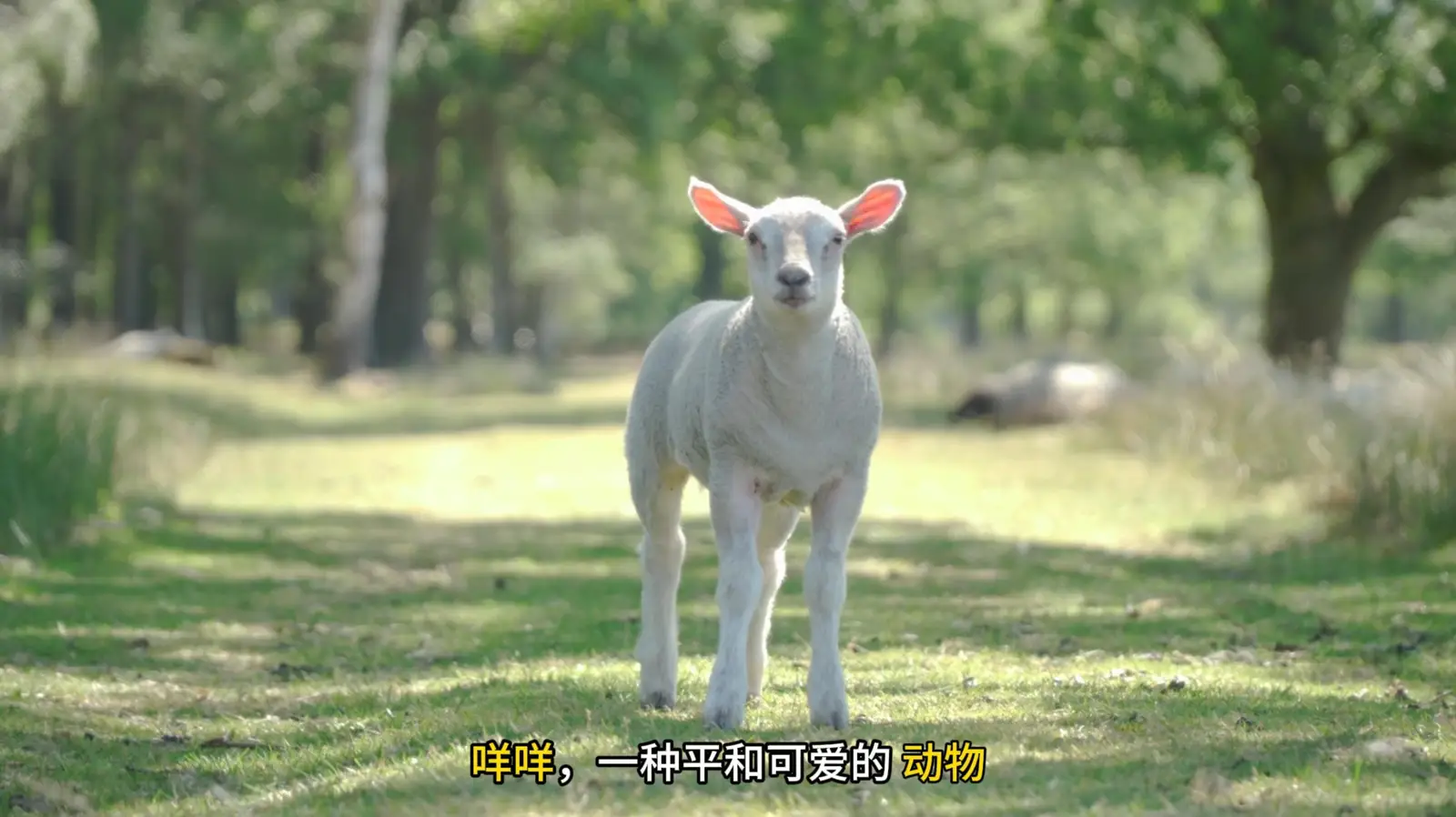 拯救世界的，为啥不能是小羊——另类RPG《咩咩狂想曲》开放试玩
