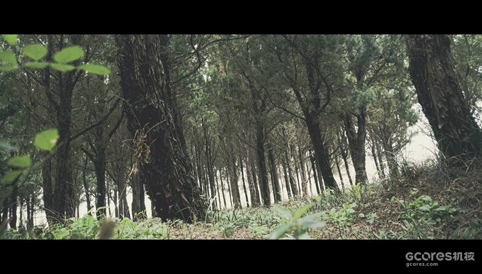 摄影分享丨这一年 摄影分享丨这一年