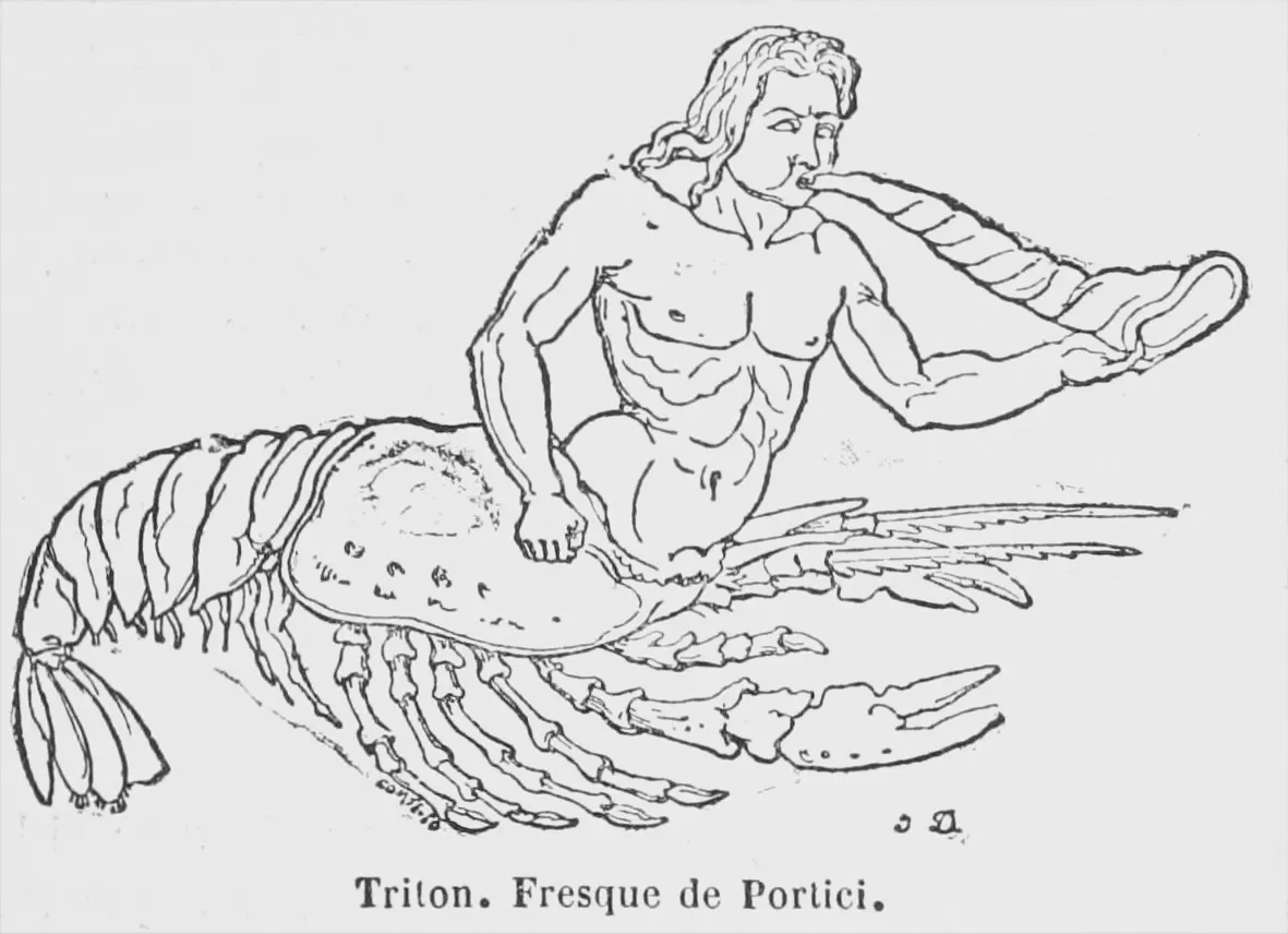 虾尾：Triton half-man, half-lobster. 
Herculanum fresco, formerly held at Museo di Portici.