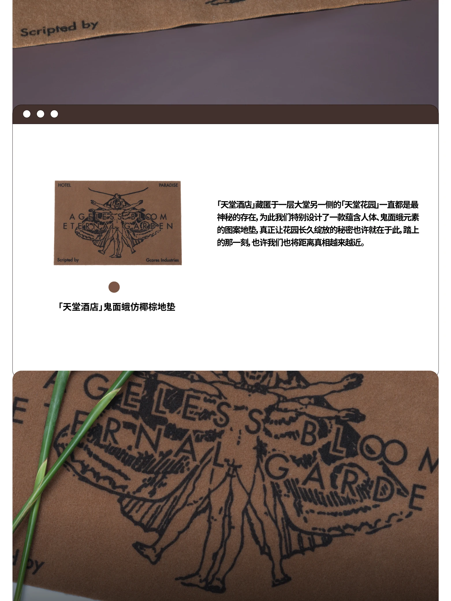 介绍图片