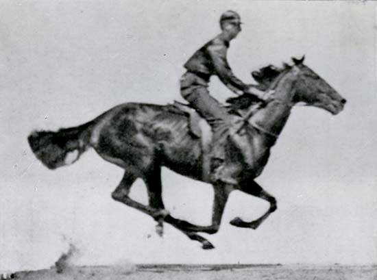 马在奔跑时，会有四蹄离地的“波峰”（图片来自埃德沃德·迈布里奇于1870年利用多台相机连续拍摄而成的“电影”《奔马》）
