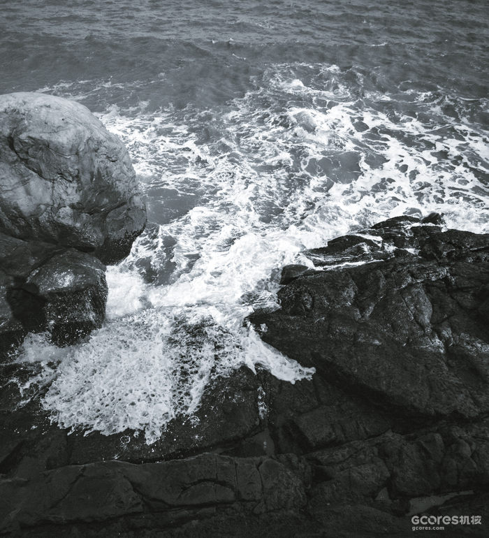 摄影分享丨这一年 摄影分享丨这一年