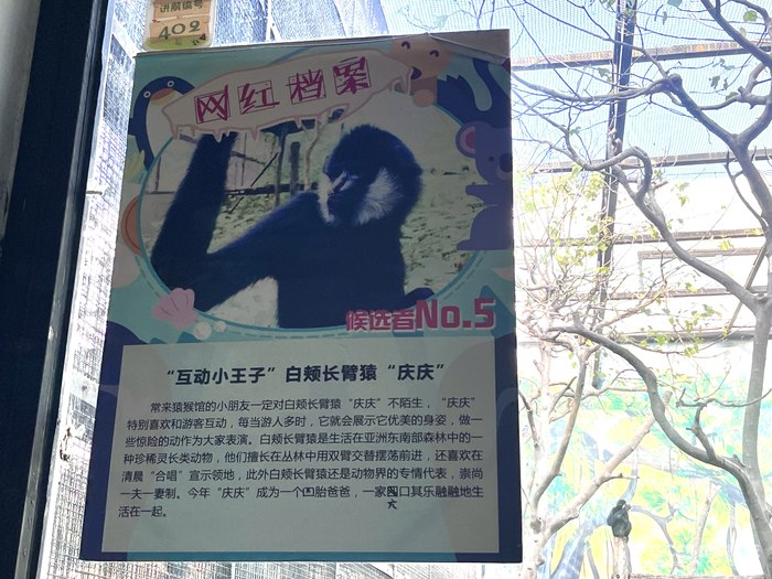 一家四口(划掉)一家六口。