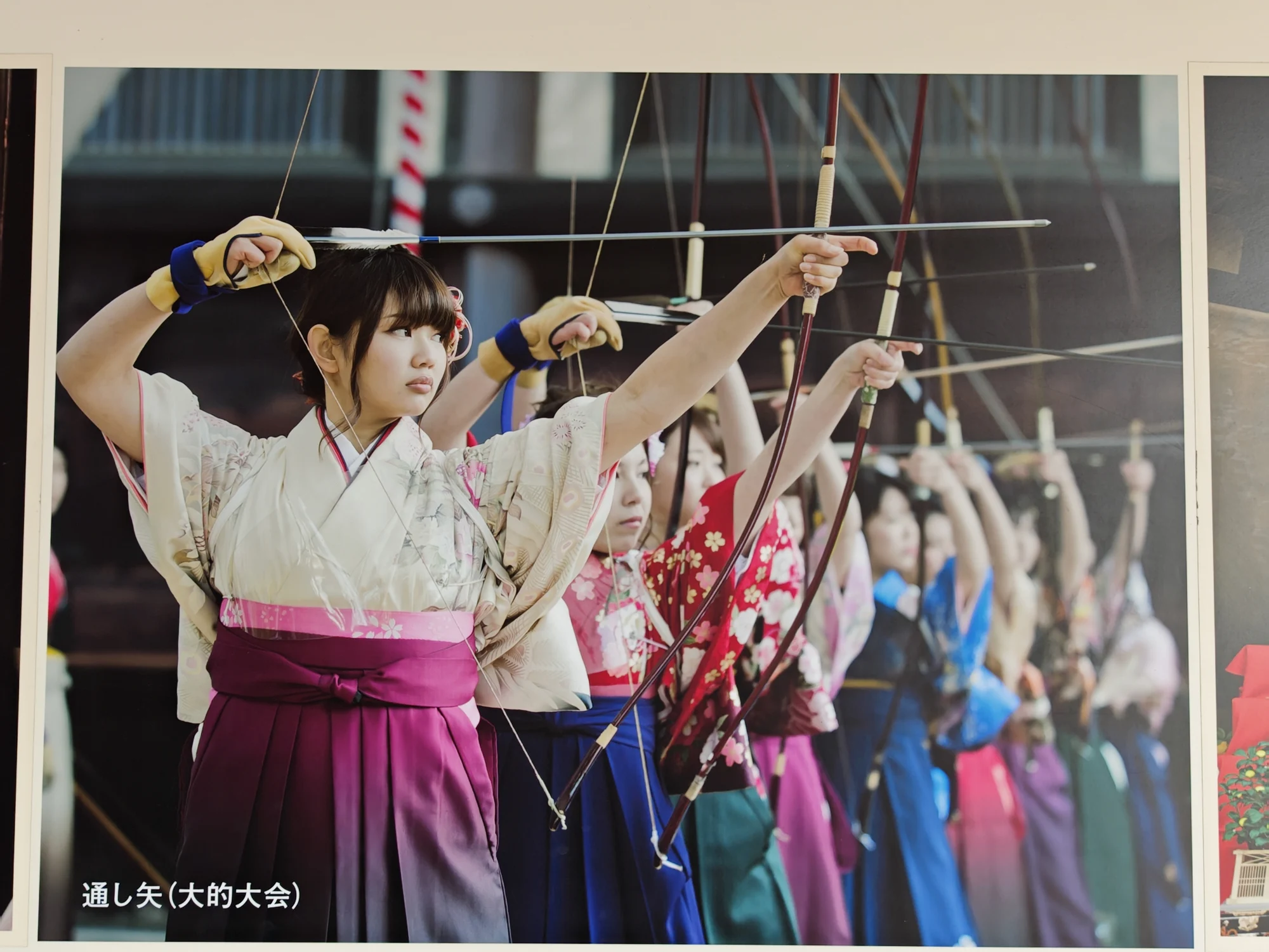 寺内关于“通矢”的照片