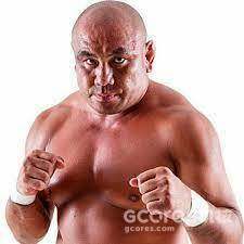 PRIDE FC 简史 pt.2 PRIDE FC 简史 pt.2