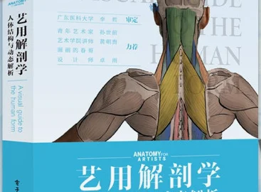 《艺用解刨学》也是新手玩家的推荐，可以临摹单独肌肉的结构