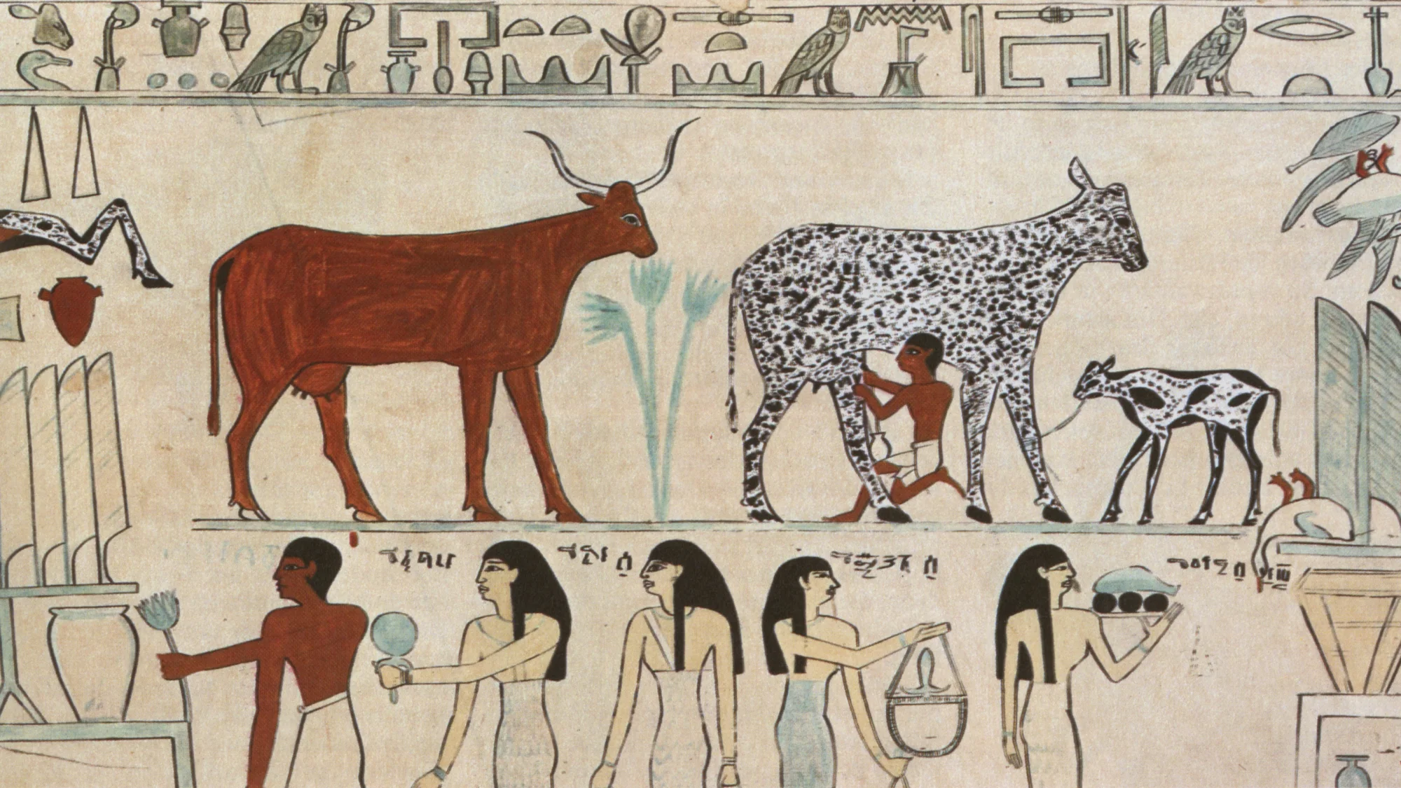 古埃及人已经有了自己的奶牛