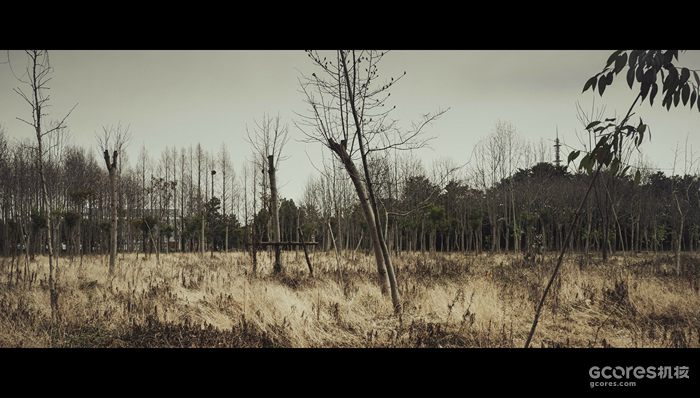 摄影分享丨这一年 摄影分享丨这一年