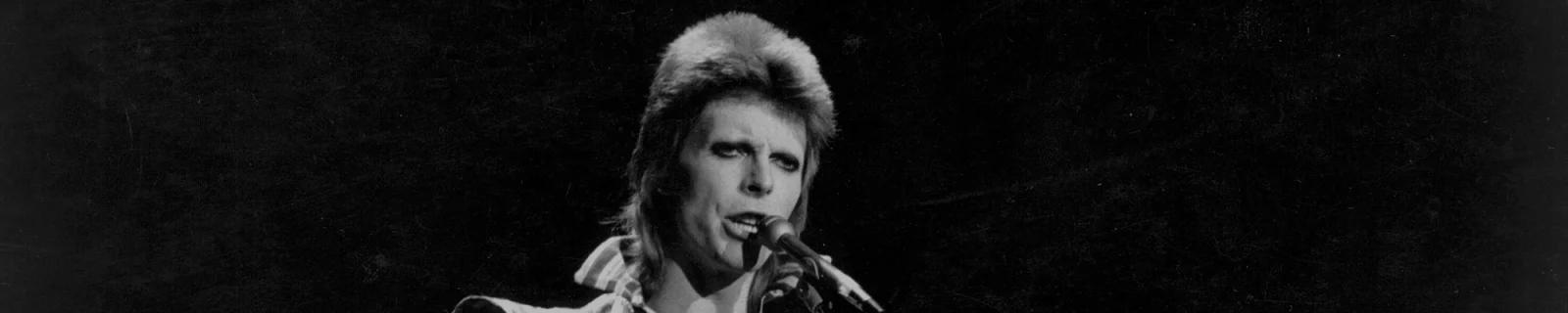 David Bowie去世了，小岛今晚会梦见他吗