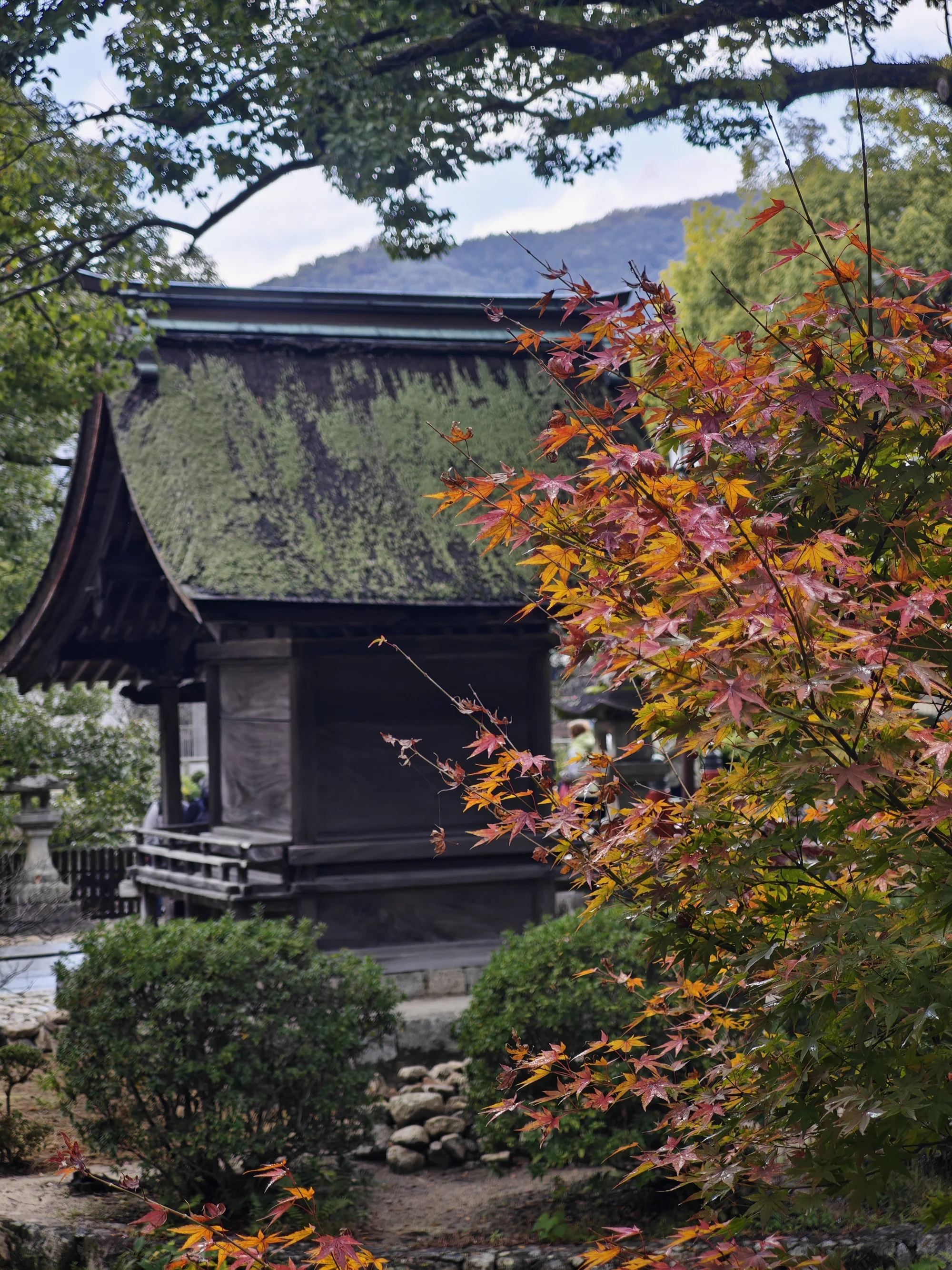 神社区域景色2