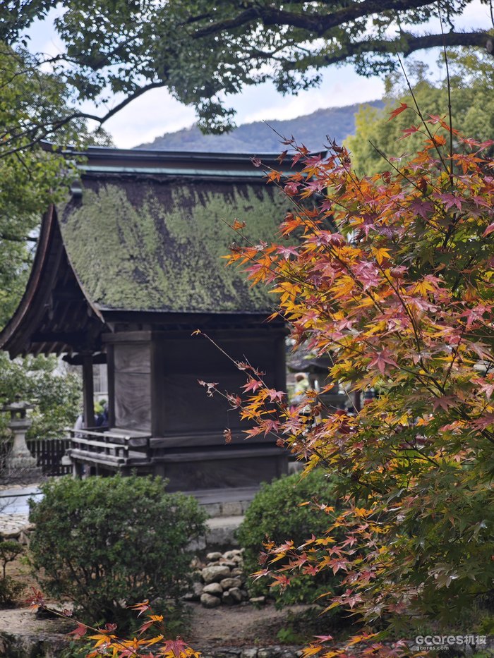 神社区域景色2