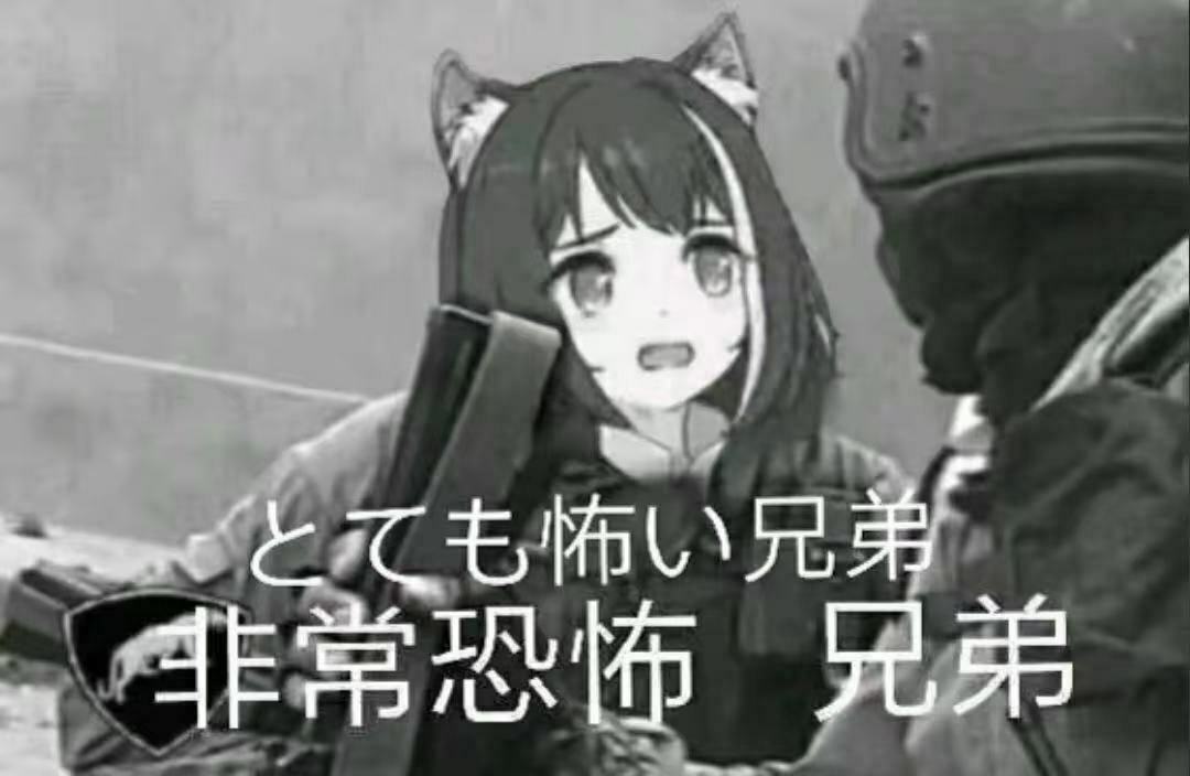 2024年秋招总结与思考