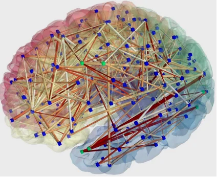 美国“脑计划”的重要组成部分：脑连接组学的成果模式图，可以看到大脑中不同区域之间存在的无数联系。
