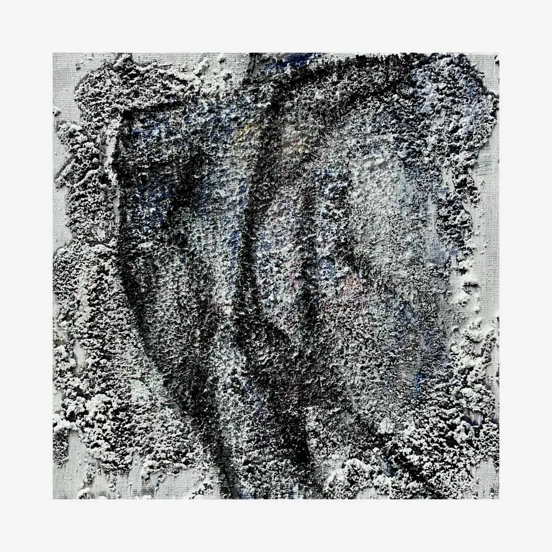 bony                      

综合材料 

 20cm×20cm
