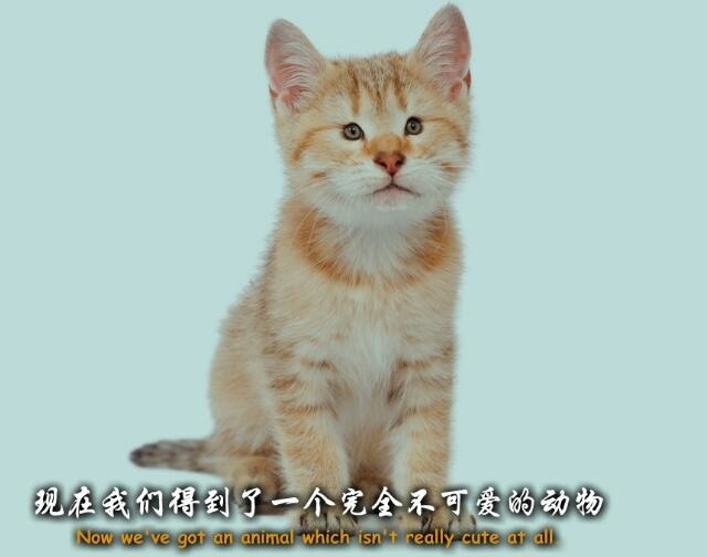 贯穿人类史的软萌：猫耳娘简史 机核GCORES