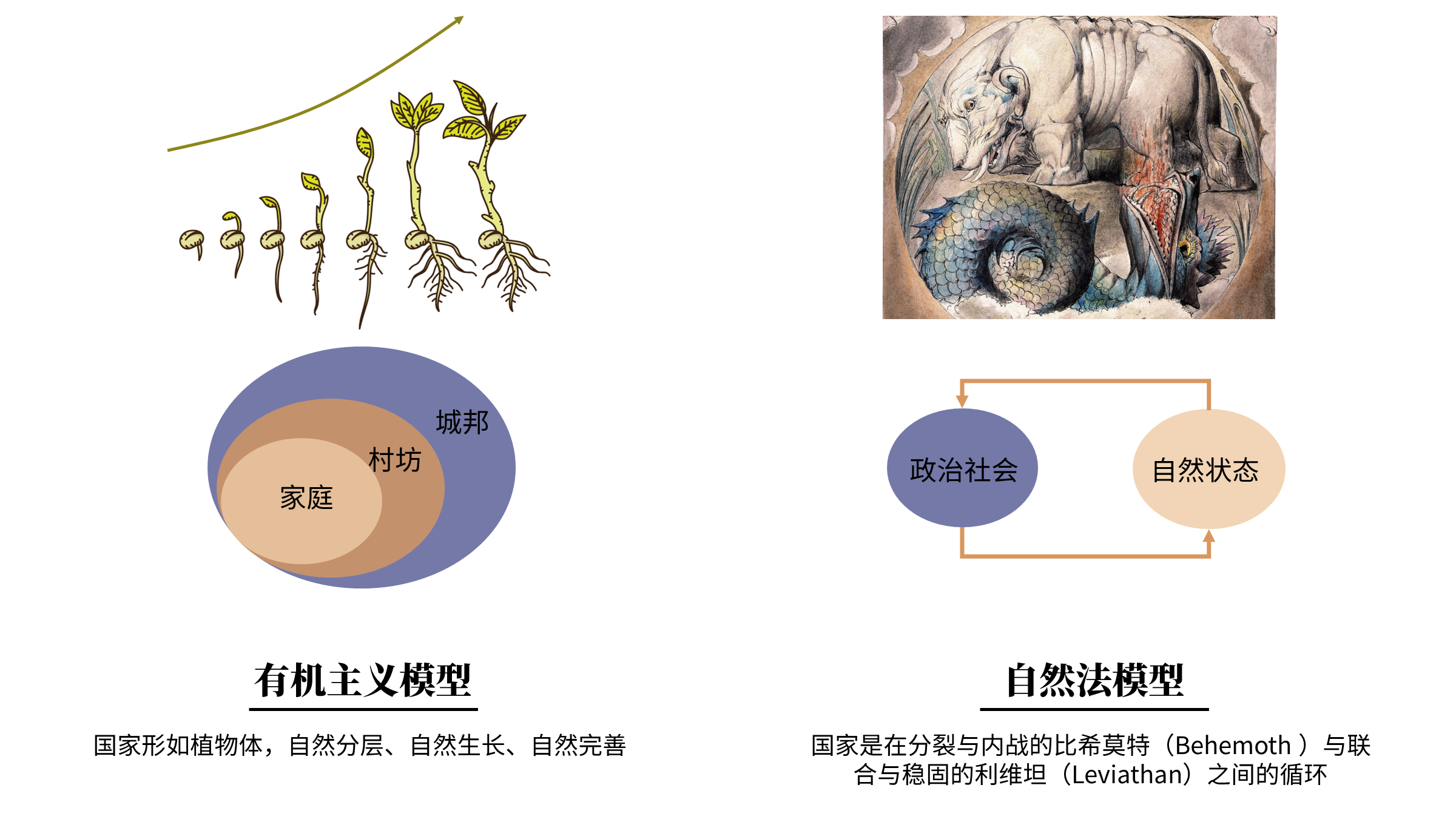 图2-1 两种国家模型 霍布斯基于英国内战的现实建立的国家理论陷入了无政府状态-政治社会的悲观循环历史观。在此之后的诸多近代政治哲学家，为了寻找资产阶级革命的正当性基础，在沿用其契约论的基本框架之外，减少了其保守主义的成分。此外，霍布斯最初的野心便是颠覆亚里士多德以来的传统，所以他将集合了家政和经济生产职能的传统家庭撕裂成原子化的自由个体，并切断了家庭权力与国家权力的自然相似性，而将后者的正当性基础直接建立在契约之上。