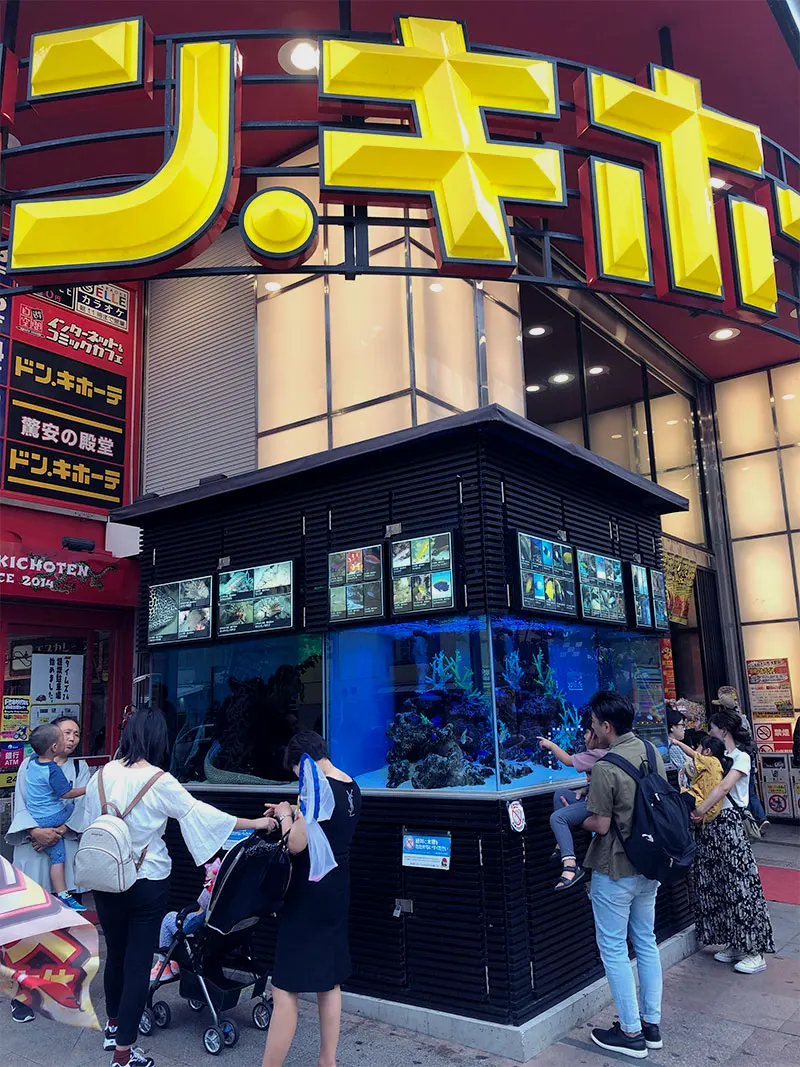 和歌舞伎町的那家堂吉诃德不同的是，这家店的1层门口摆放着一个看起来很豪华的巨大鱼缸，养殖着很多我不认识的水生生物
