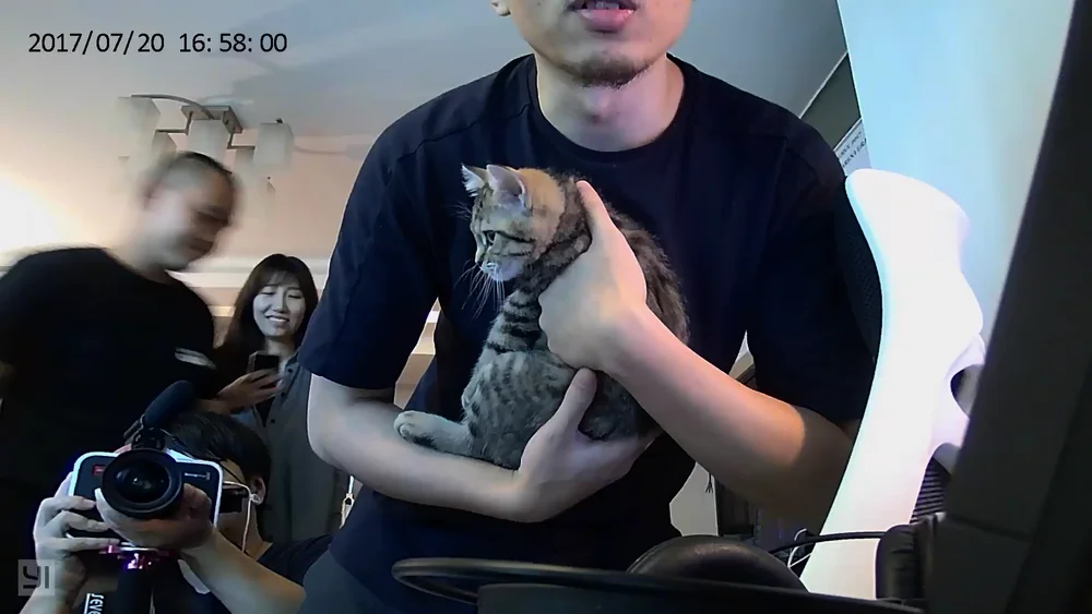 吸猫！