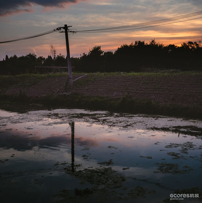 摄影分享丨这一年 摄影分享丨这一年