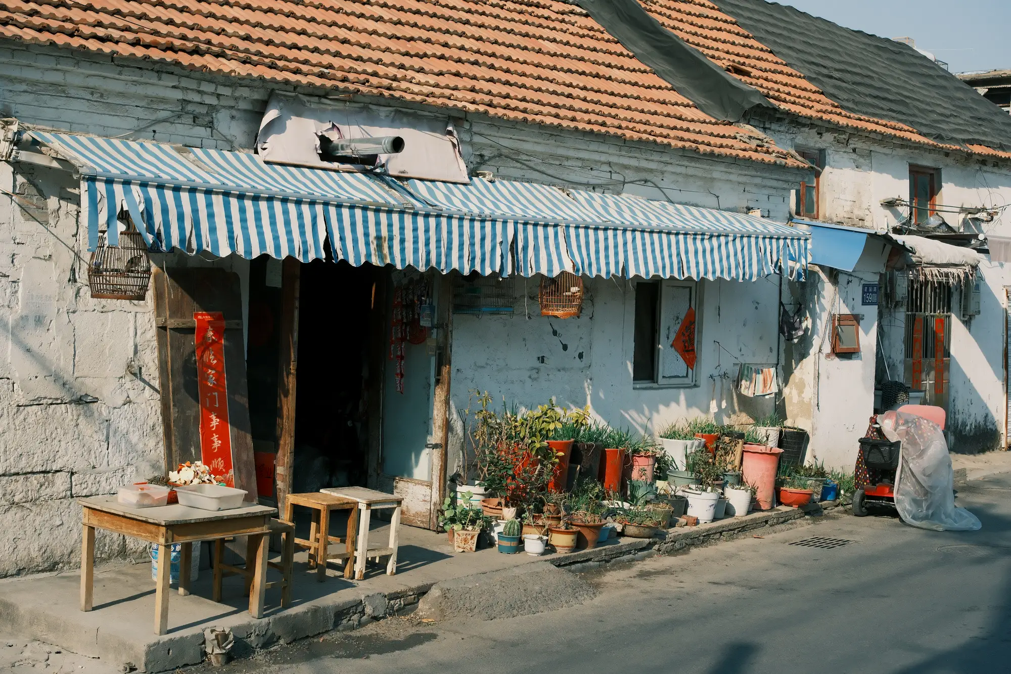富有生活情趣的铺子，开学后会在门口摆满各类卡片、四驱车等，需要紧跟电视台的动向