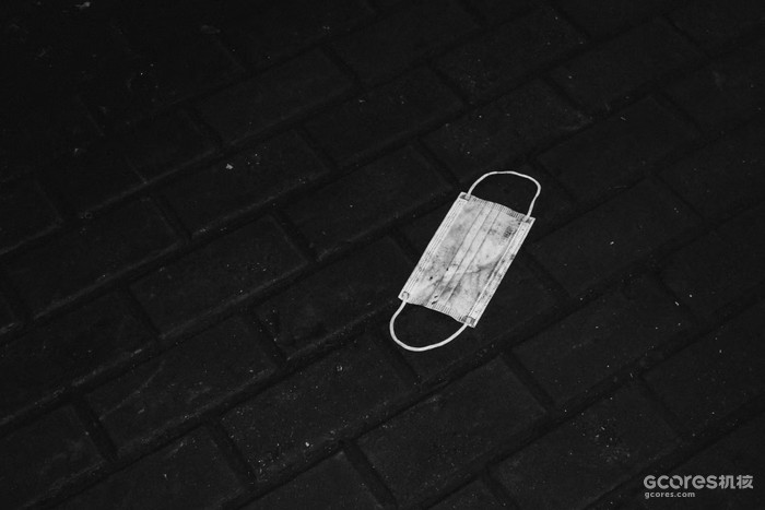 摄影分享丨这一年 摄影分享丨这一年