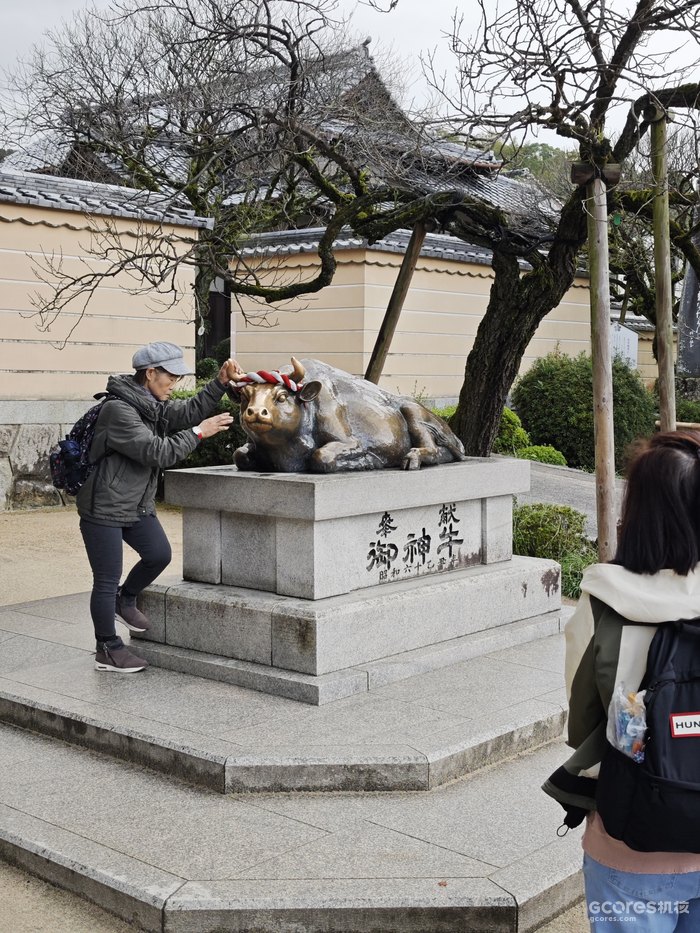 游人排起长队抚摸牛头
