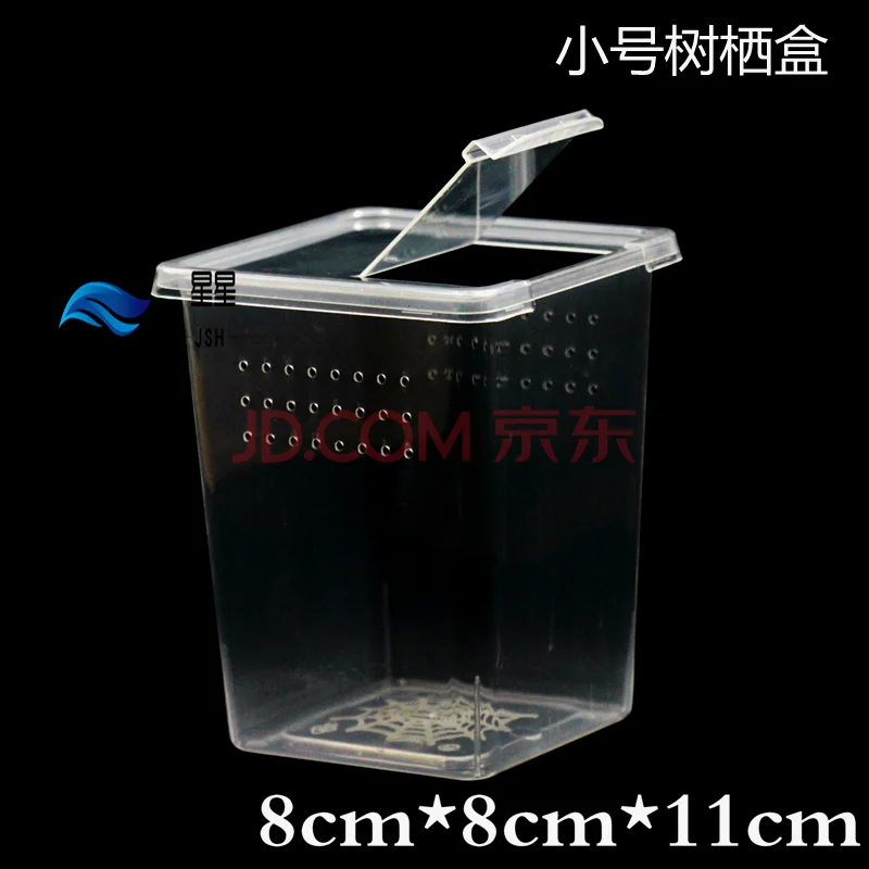 树栖饲养盒