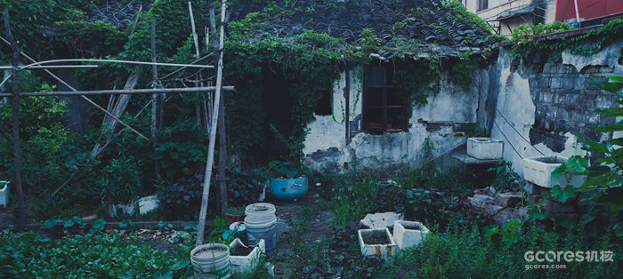 摄影分享丨这一年 摄影分享丨这一年