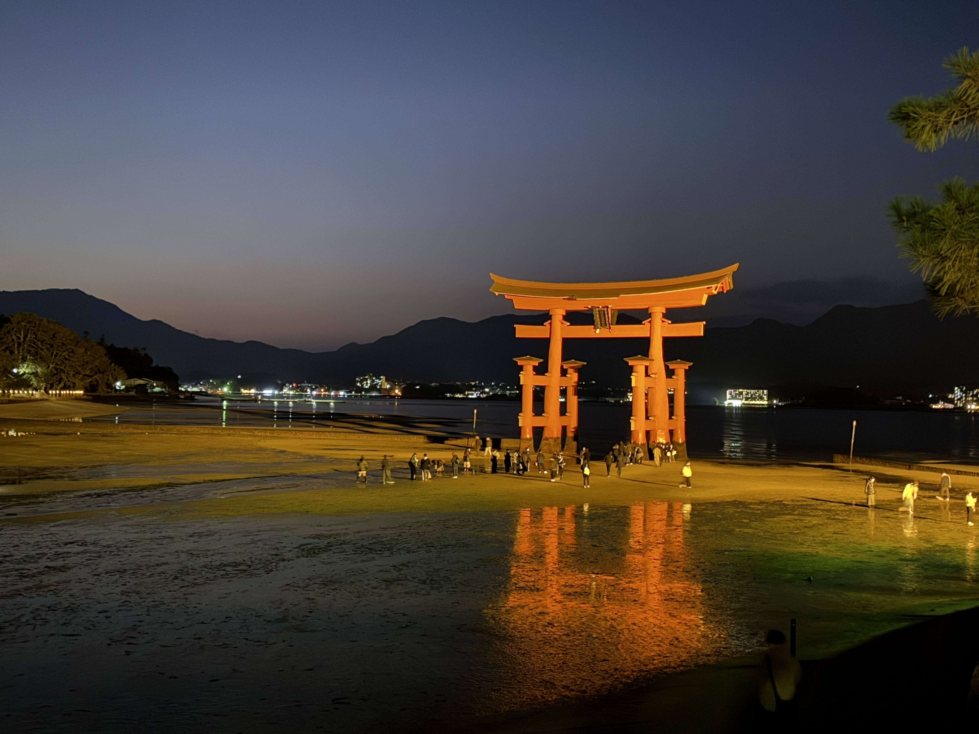 灯光打在鸟居上