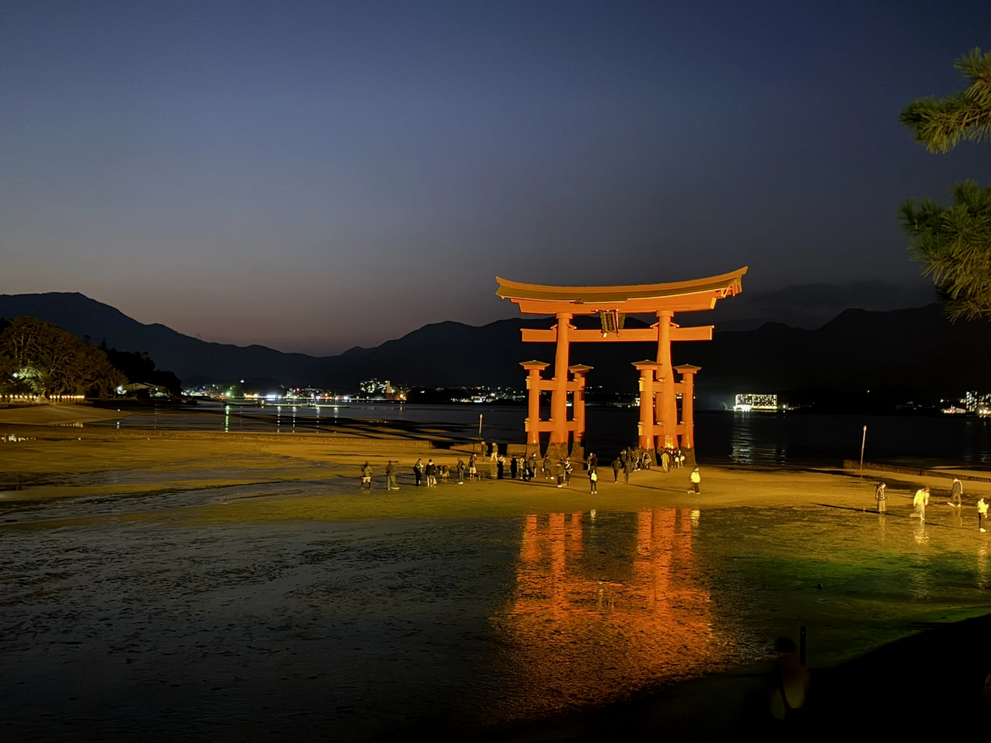 灯光打在鸟居上
