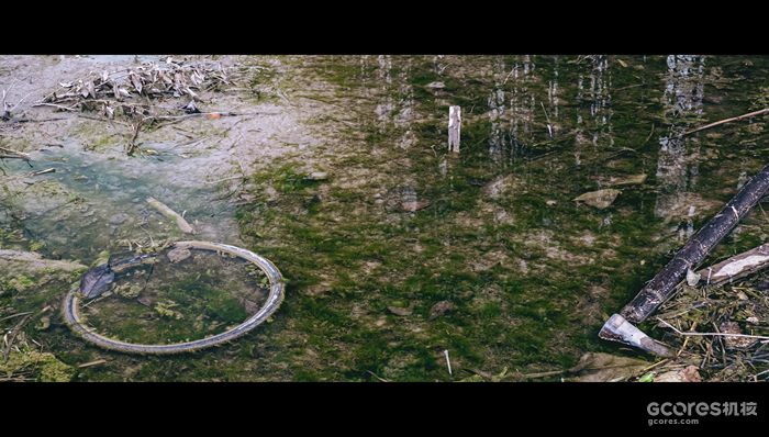 摄影分享丨这一年 摄影分享丨这一年