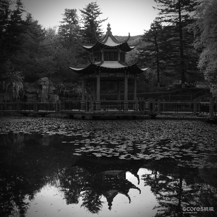 对倒
