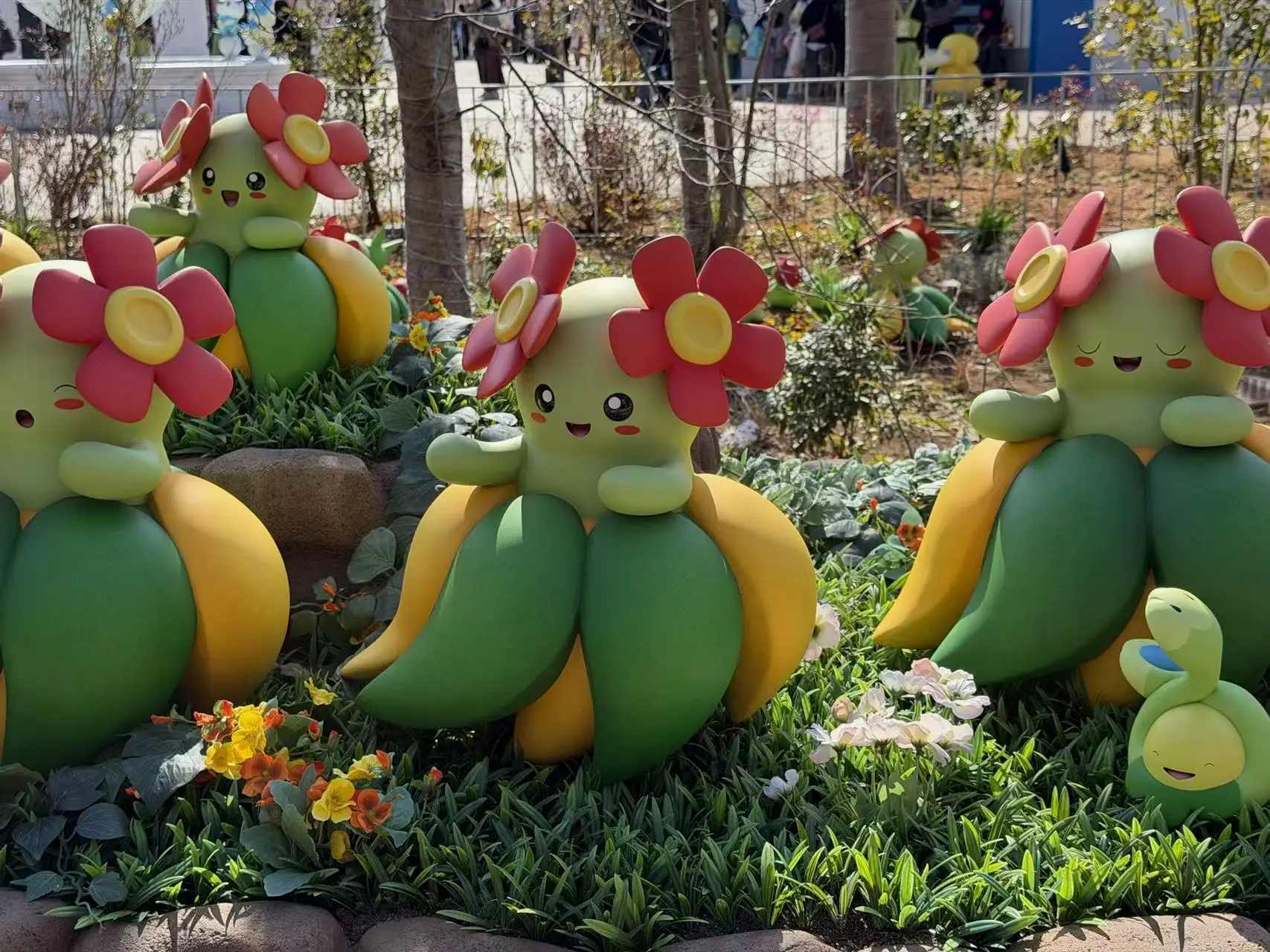 含羞苞大人和它的舞伴们