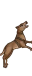 好狗狗，好狗狗……啊！你这坏狗子！