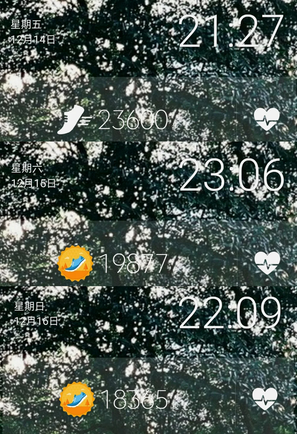 六万步，体重-3。