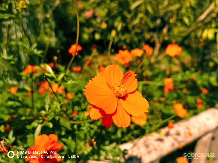 去阳朔玩的一些照片 去阳朔玩的一些照片