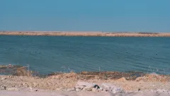 摄影