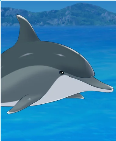 游戏中的海豚为常见海豚
