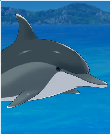 游戏中的海豚为常见海豚