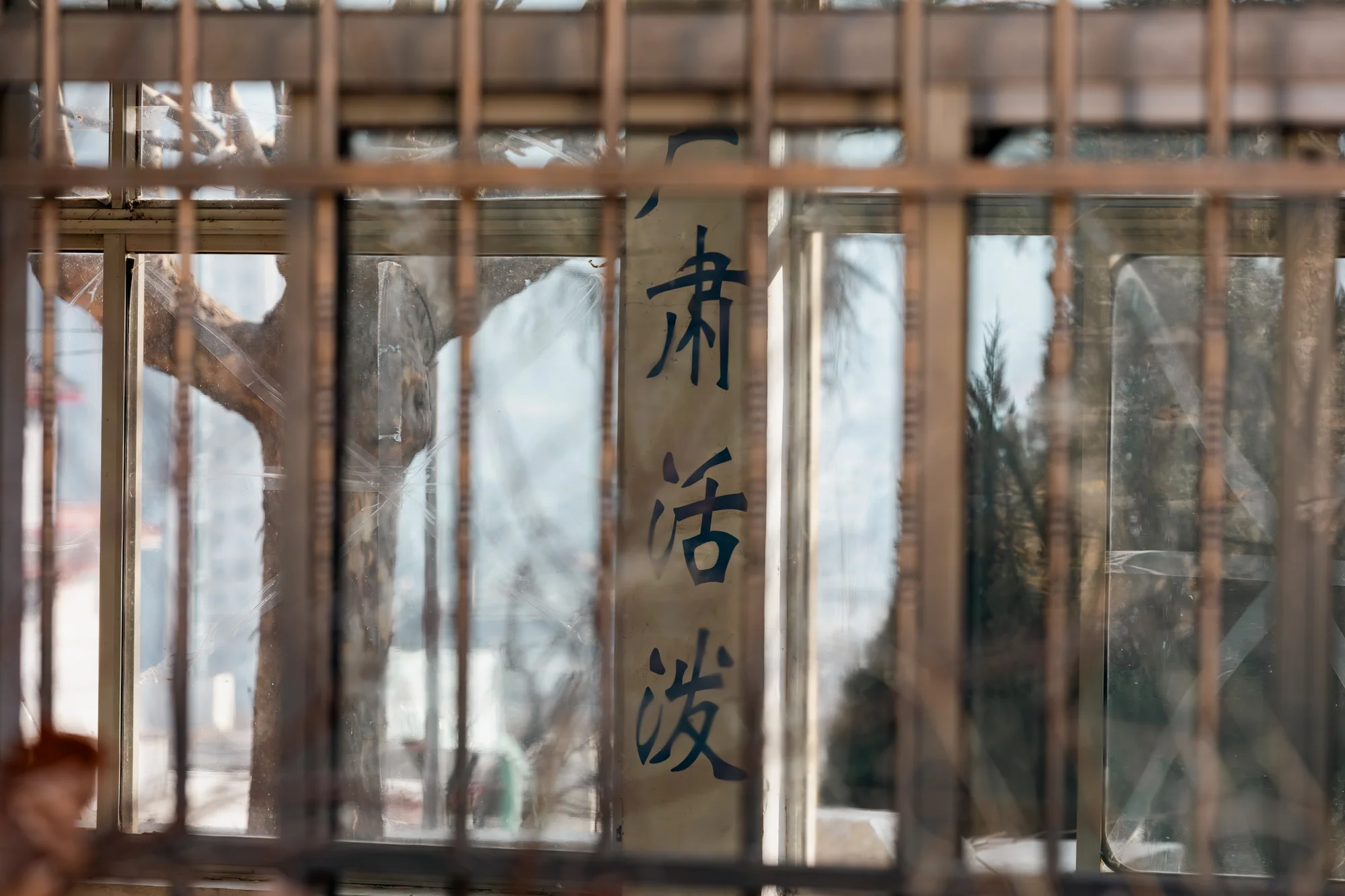 辩证法