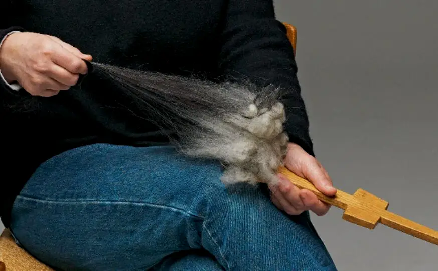 当羊毛纤维被梳理成均匀的团后，首先把它们从一把梳子中小心的拉出来，接着是另一把，形成两条又长又细的羊毛带，外毛被首先拉出