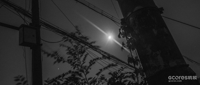 摄影分享丨这一年 摄影分享丨这一年