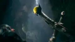 Marvel's Wolverine - Wolven Storm