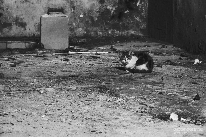 摄影分享丨这一年 摄影分享丨这一年