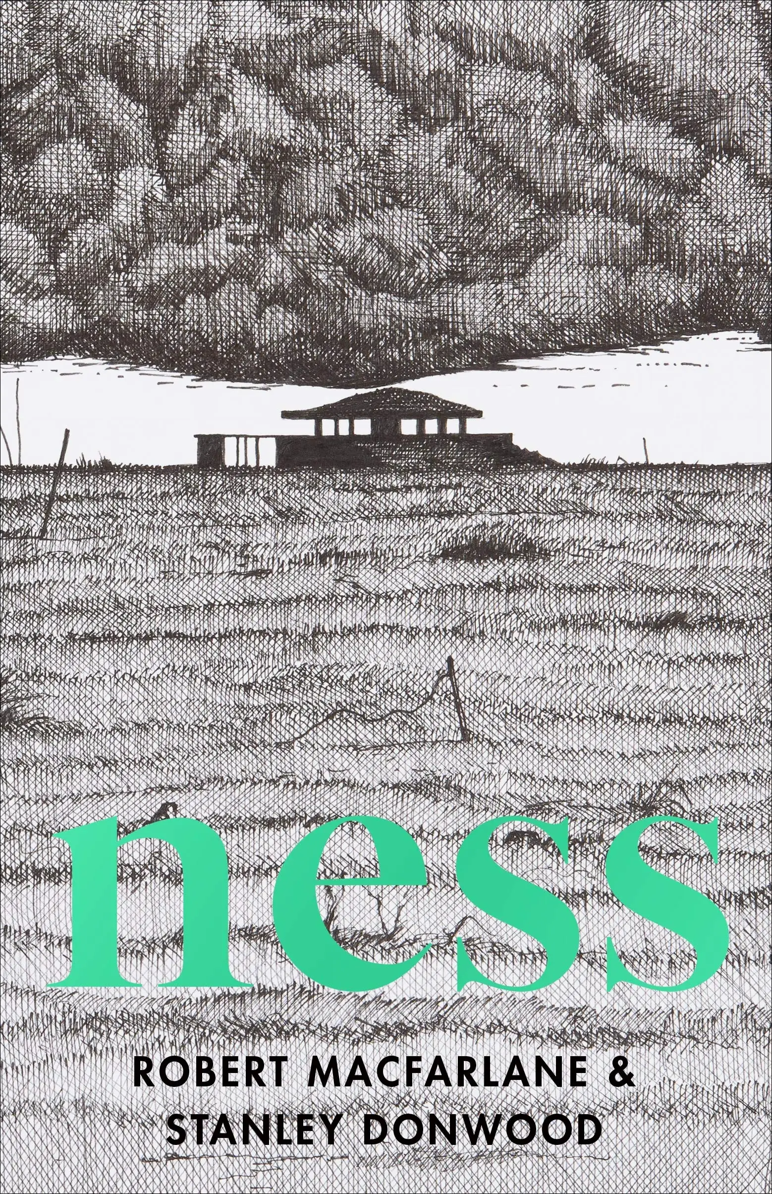 《尼斯》（ Ness）